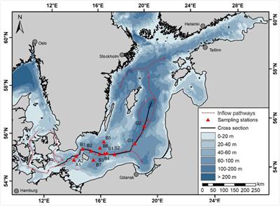 Impact of a Major Inflow Event on the Composition and Distribution of Bacterioplankton Communities in the Baltic Sea